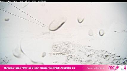 Thredbo: Basin T-Bar (thredbo.com.au)