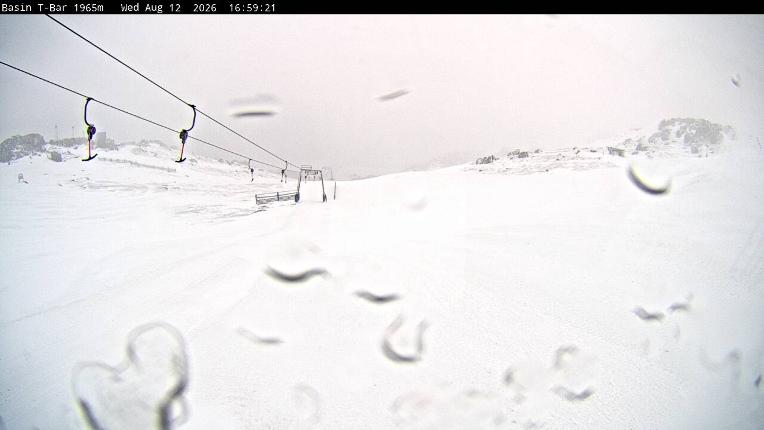 Webcam Thredbo: Basin T-Bar