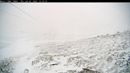 Thredbo: Basin T-Bar (thredbo.com.au)