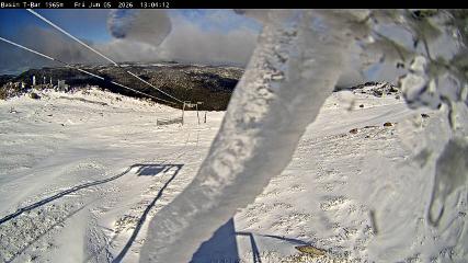 Thredbo: Basin T-Bar (thredbo.com.au)