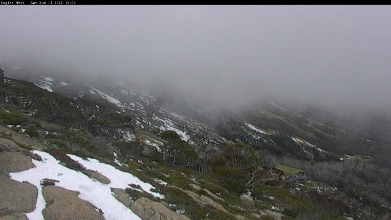 Webcam Thredbo: Central Spur