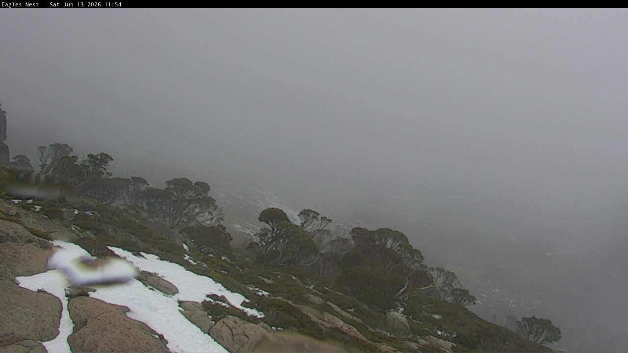Webcam Thredbo: Central Spur