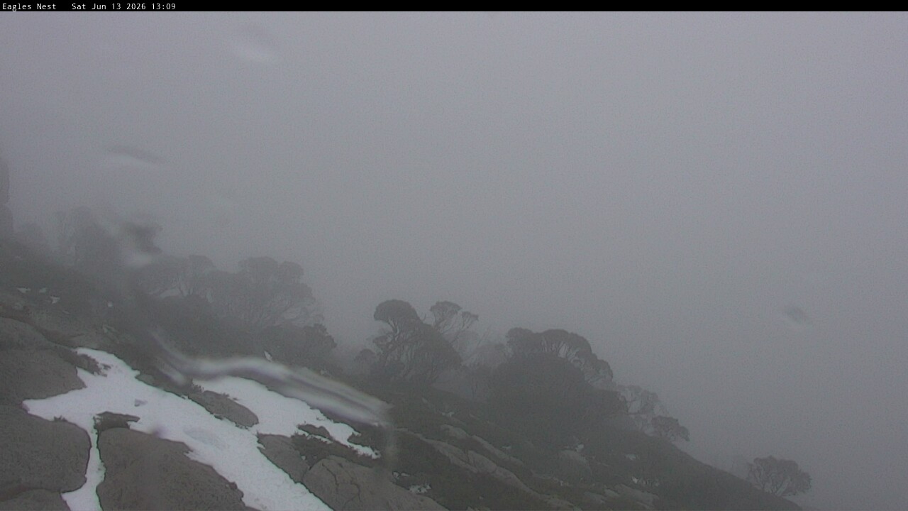 Webcam Thredbo: Central Spur