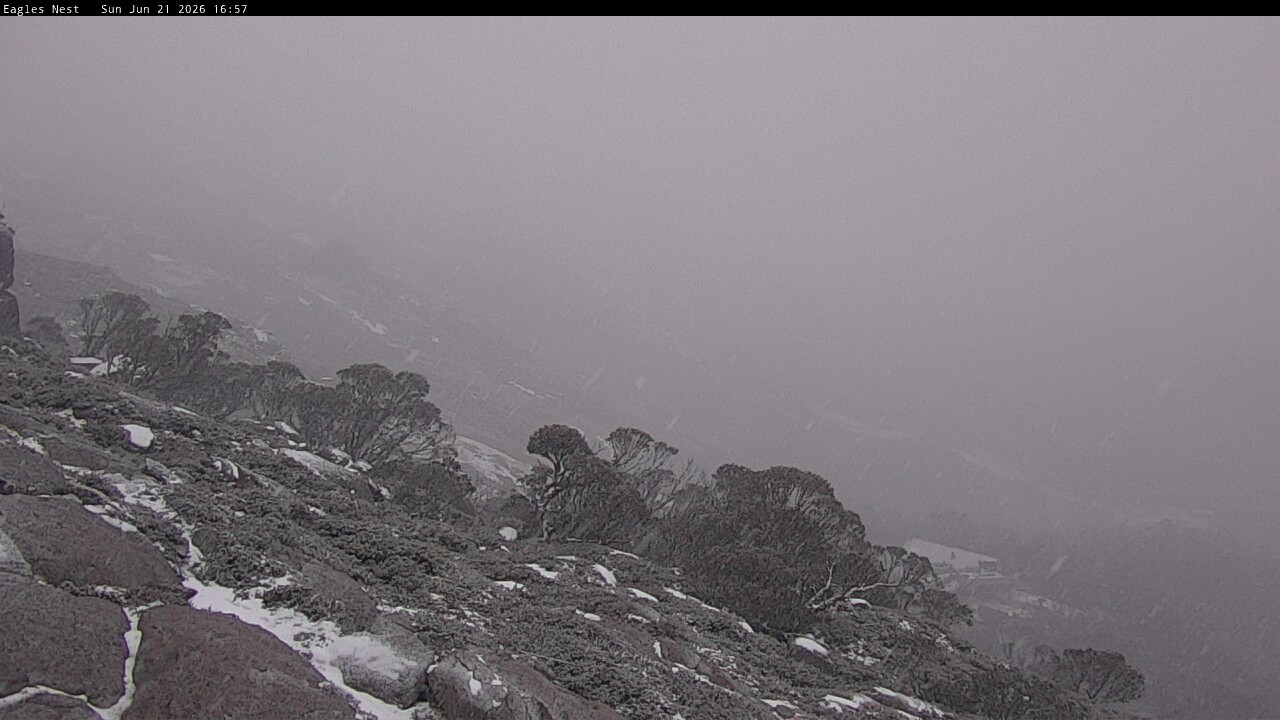 Webcam Thredbo: Central Spur