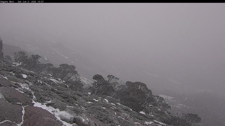 Webcam Thredbo: Central Spur