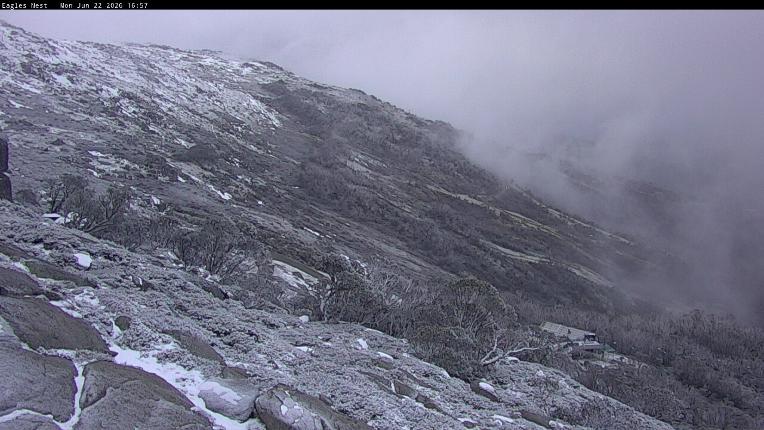Webcam Thredbo: Central Spur