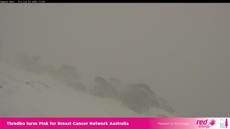 Webcam Thredbo: Central Spur
