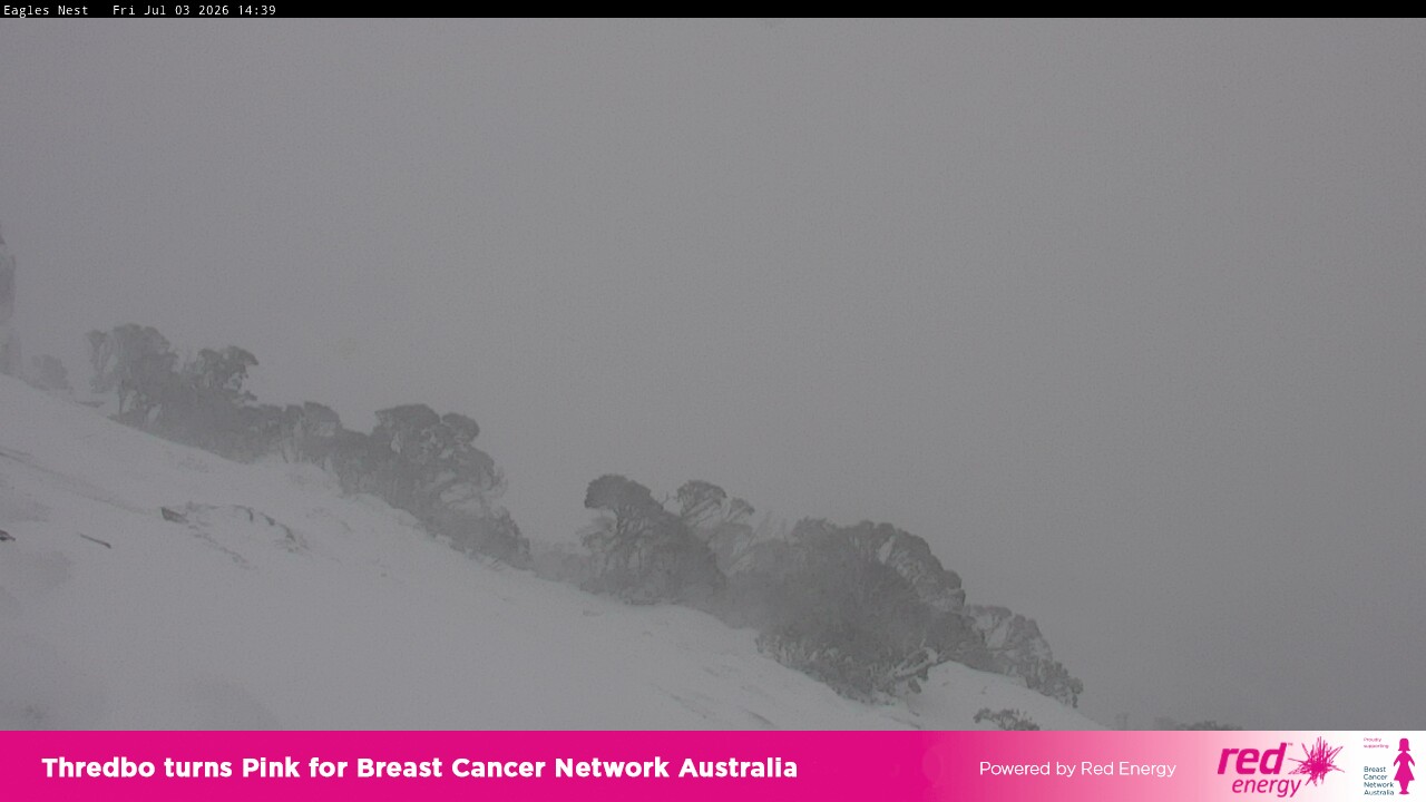 Webcam Thredbo: Central Spur