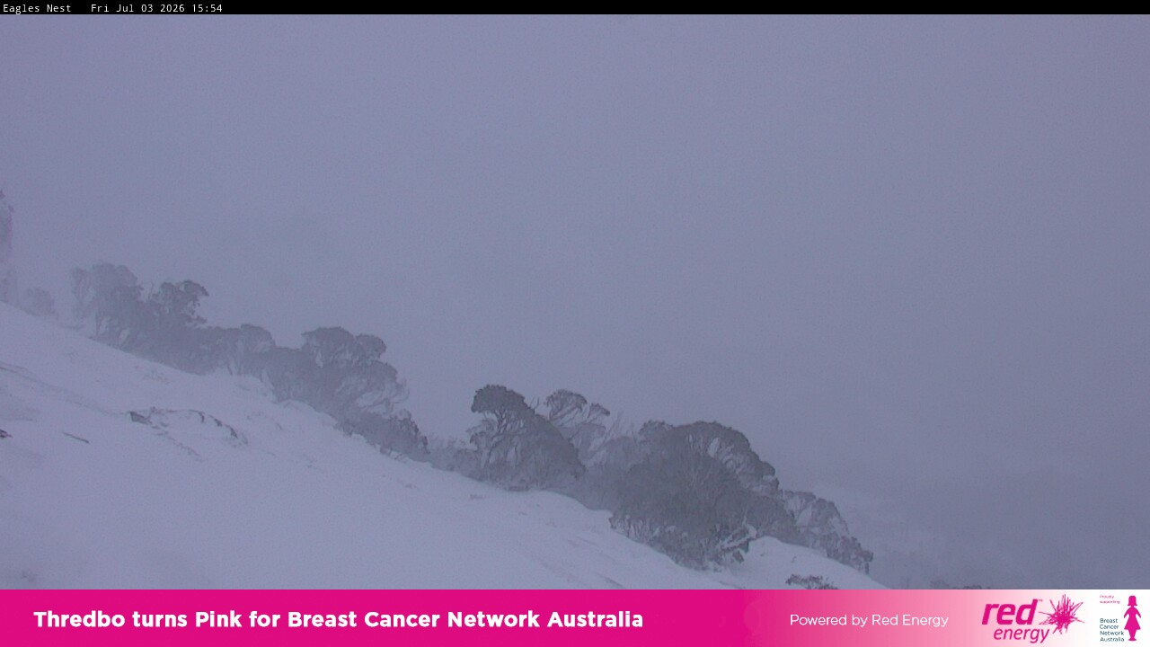 Webcam Thredbo: Central Spur