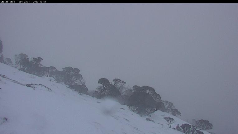 Webcam Thredbo: Central Spur