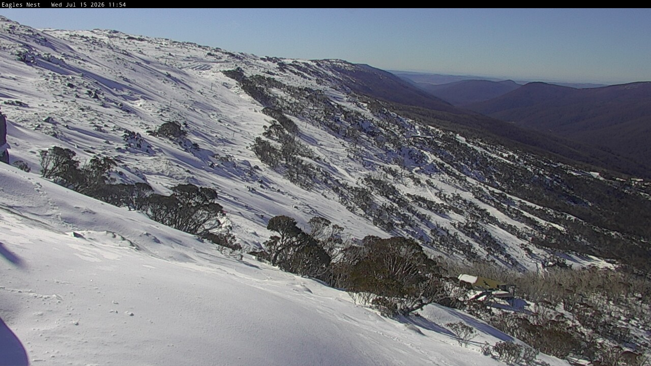 Webcam Thredbo: Central Spur