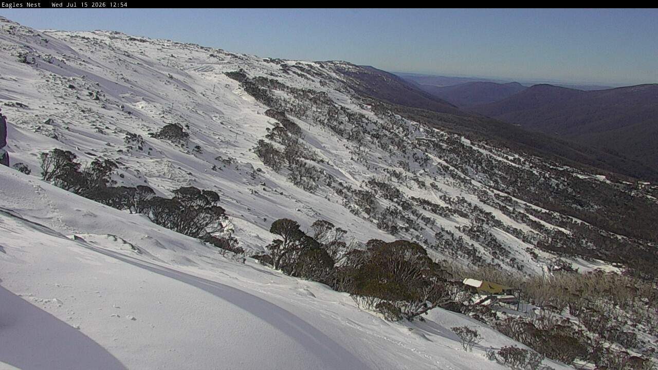 Webcam Thredbo: Central Spur