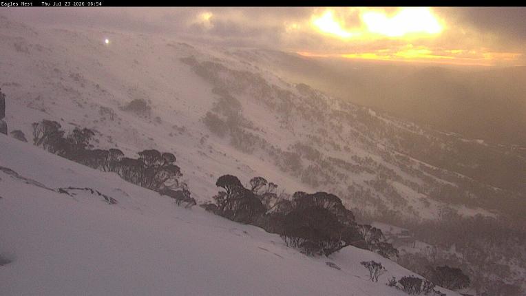 Webcam Thredbo: Central Spur