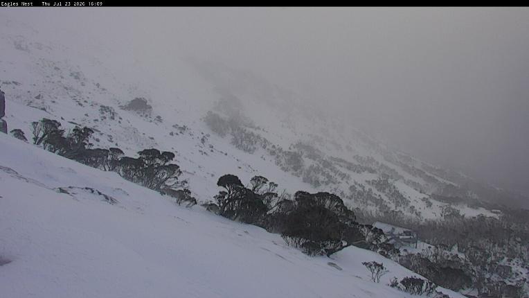 Webcam Thredbo: Central Spur