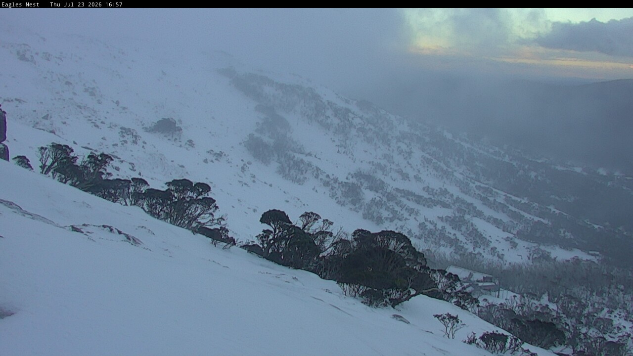 Webcam Thredbo: Central Spur