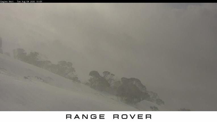 Webcam Thredbo: Central Spur
