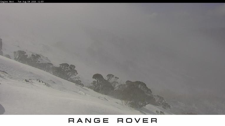 Webcam Thredbo: Central Spur