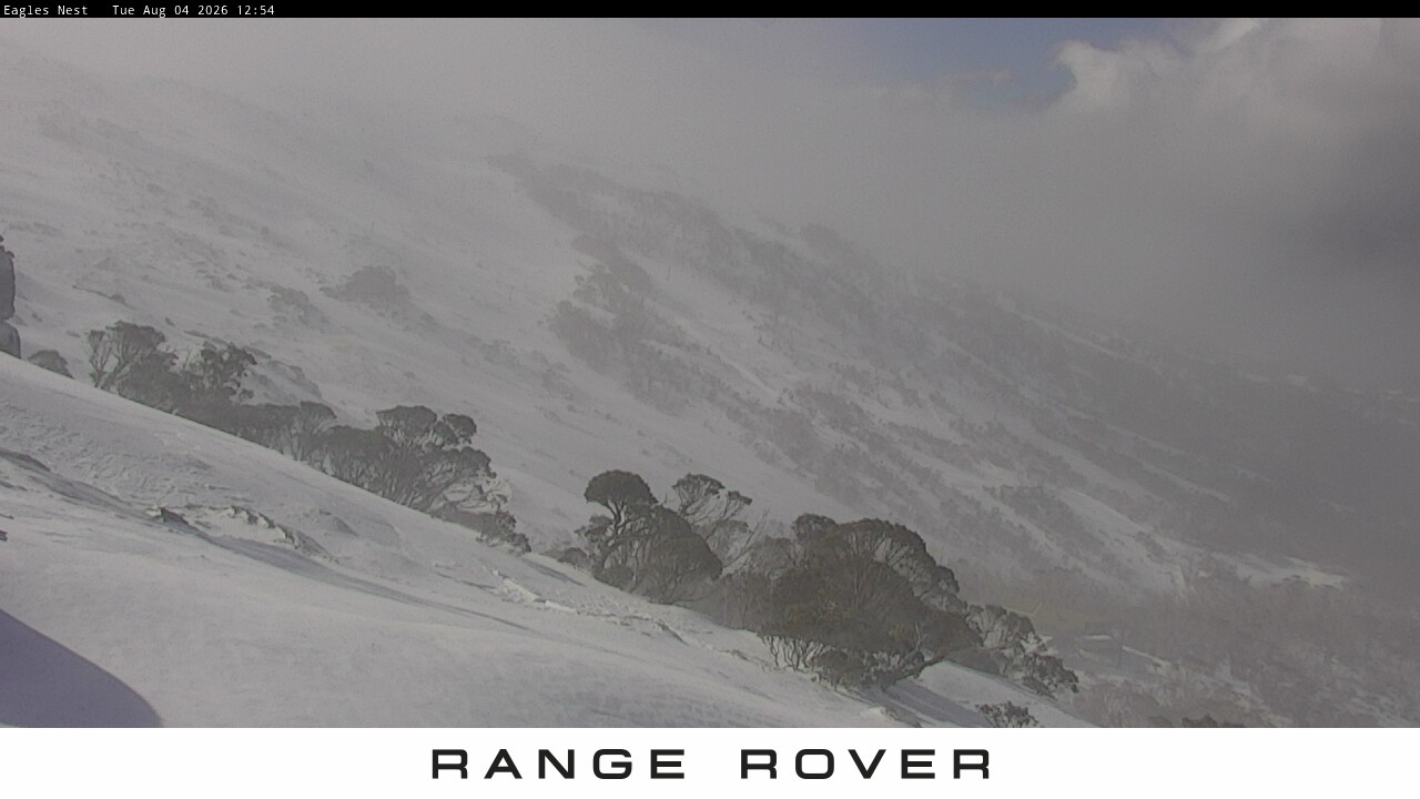 Webcam Thredbo: Central Spur