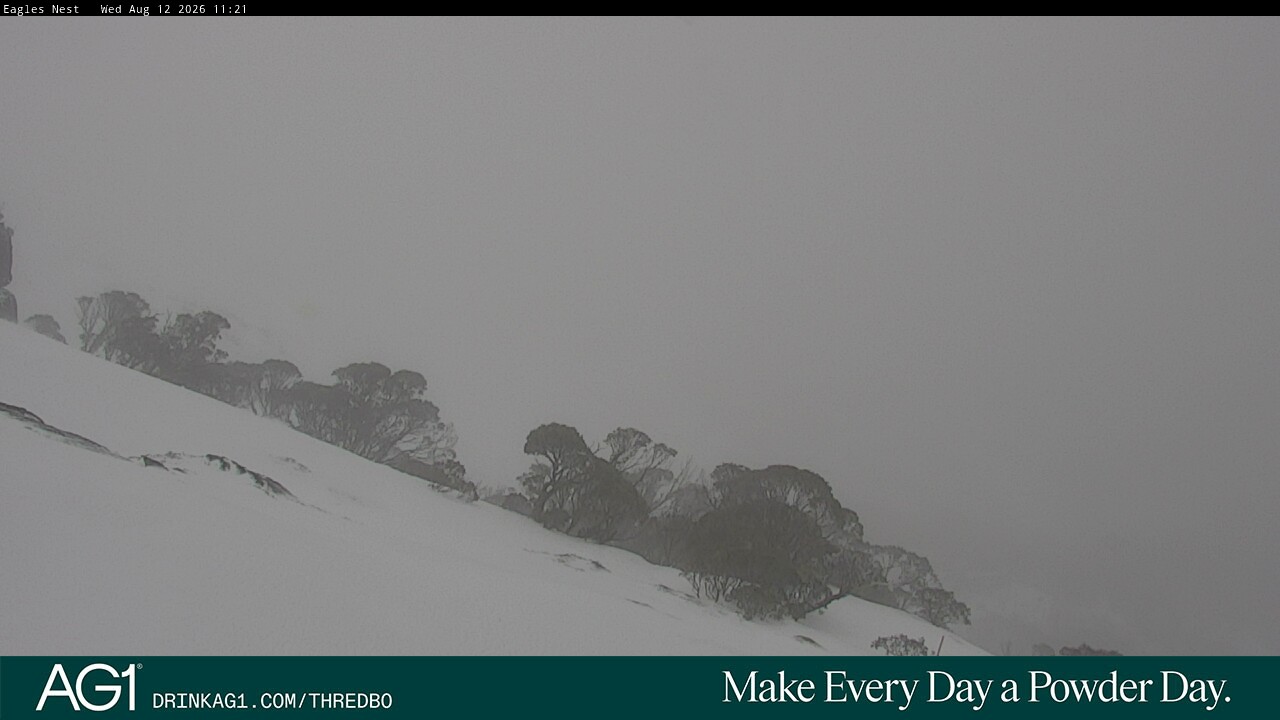 Webcam Thredbo: Central Spur