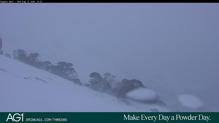 Webcam Thredbo: Central Spur