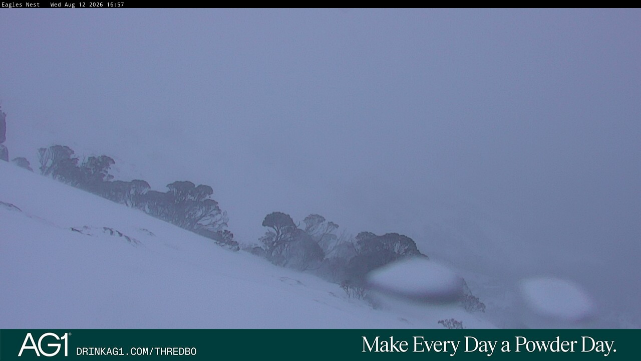 Webcam Thredbo: Central Spur