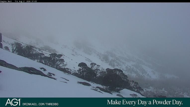 Webcam Thredbo: Central Spur