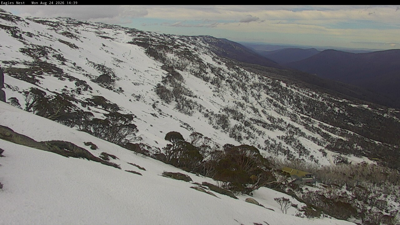 Webcam Thredbo: Central Spur