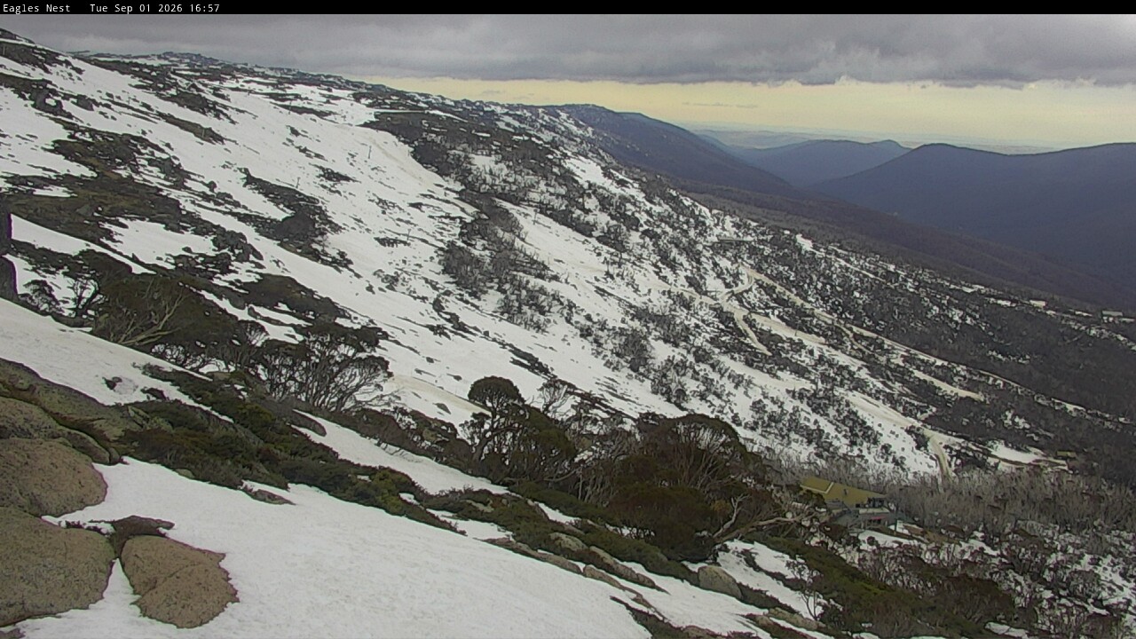 Webcam Thredbo: Central Spur