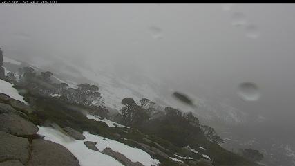 Thredbo: Central Spur (thredbo.com.au)