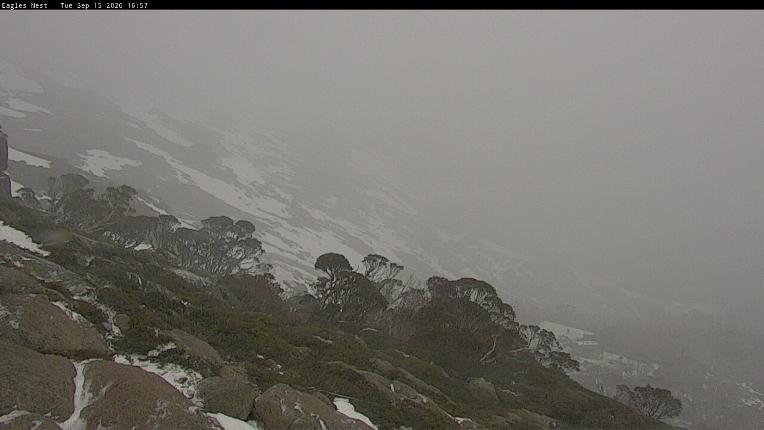 Webcam Thredbo: Central Spur