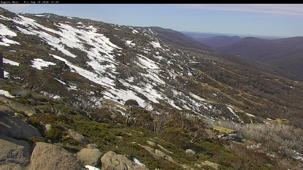 Webcam Thredbo: Central Spur