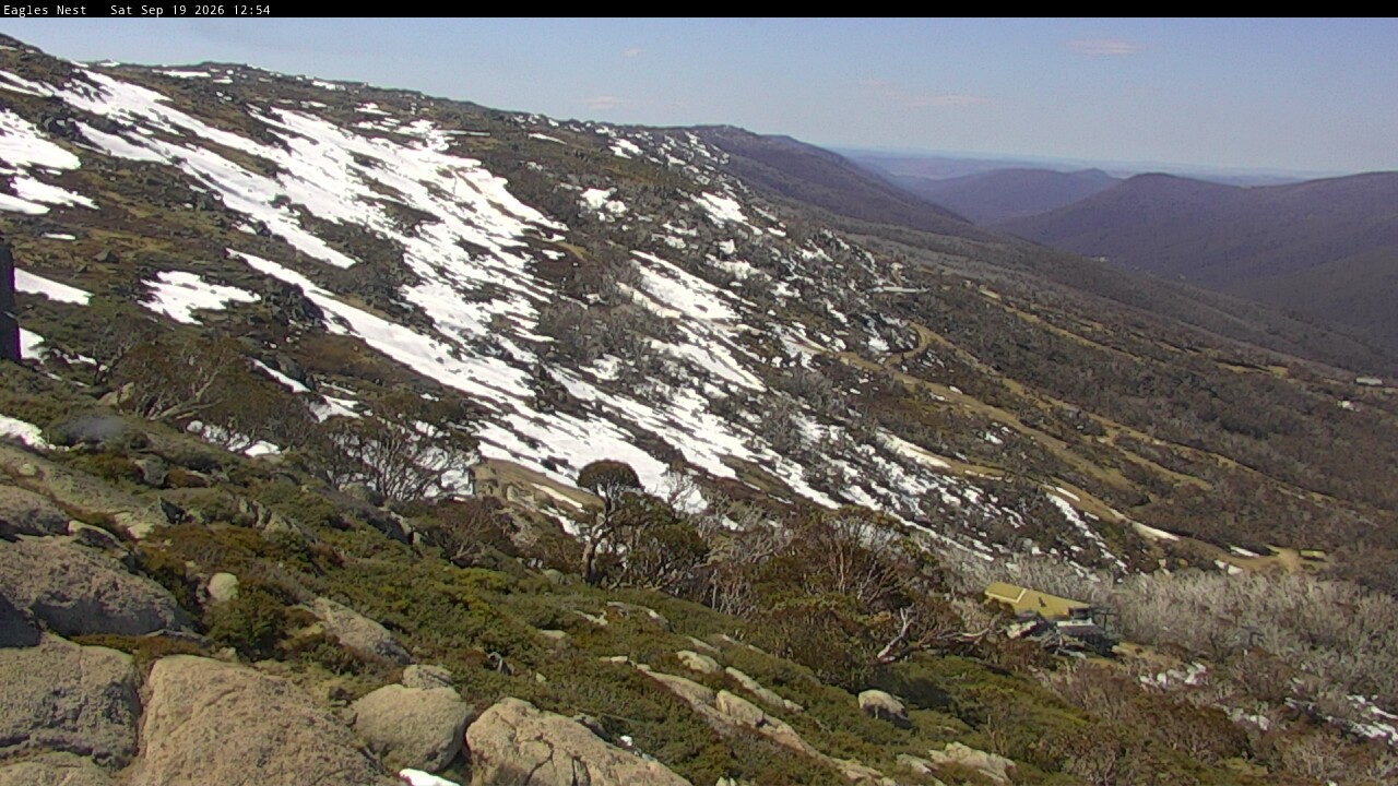 Webcam Thredbo: Central Spur