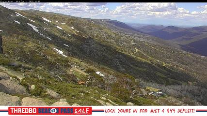Thredbo: Central Spur (thredbo.com.au)