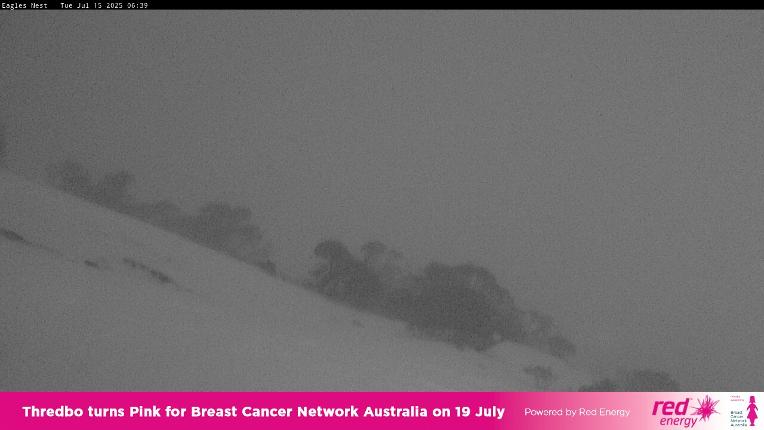 Webcam Thredbo: Central Spur