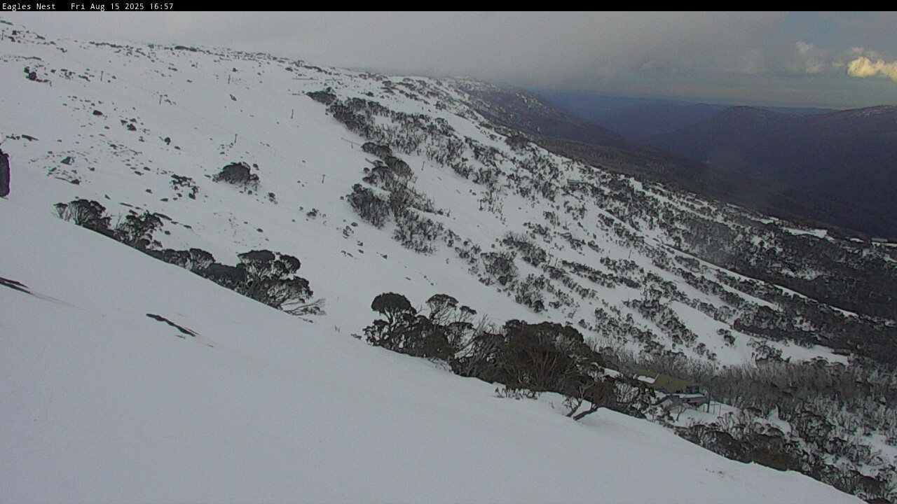 Webcam Thredbo: Central Spur