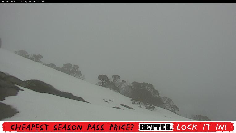 Webcam Thredbo: Central Spur
