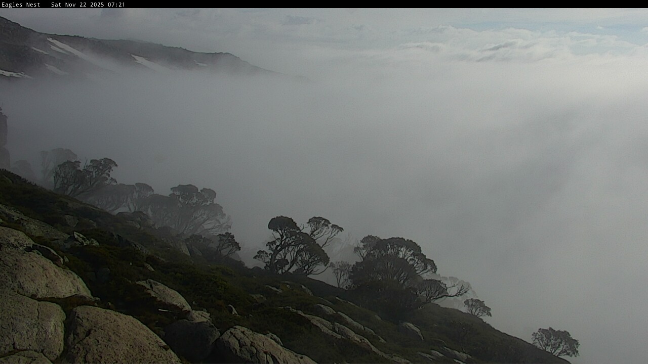 Webcam Thredbo: Central Spur