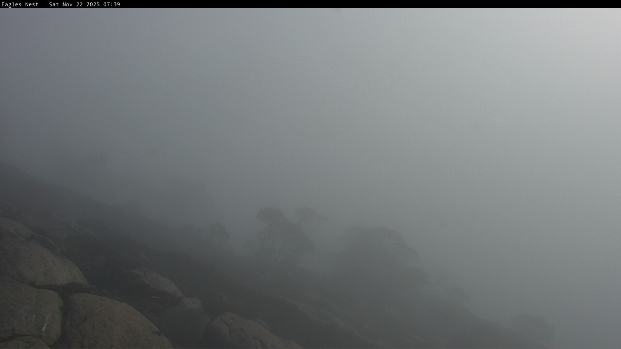 Webcam Thredbo: Central Spur