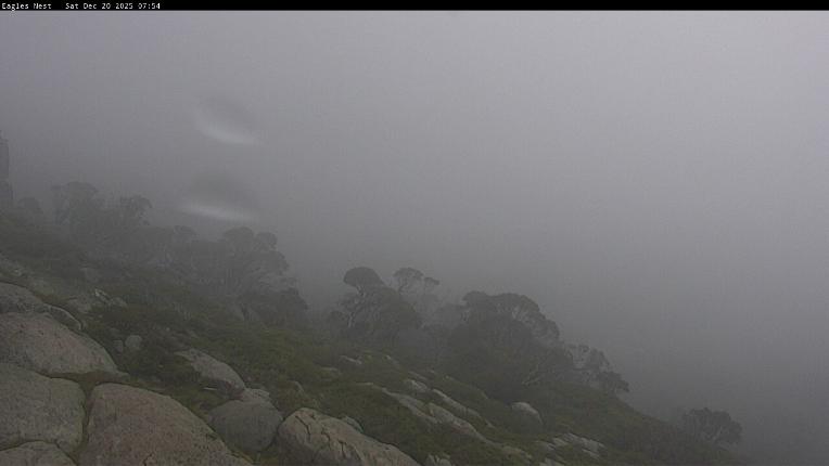 Webcam Thredbo: Central Spur