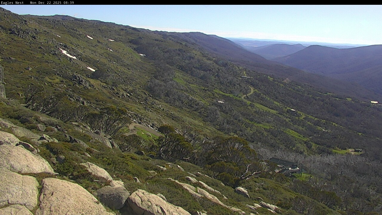Webcam Thredbo: Central Spur