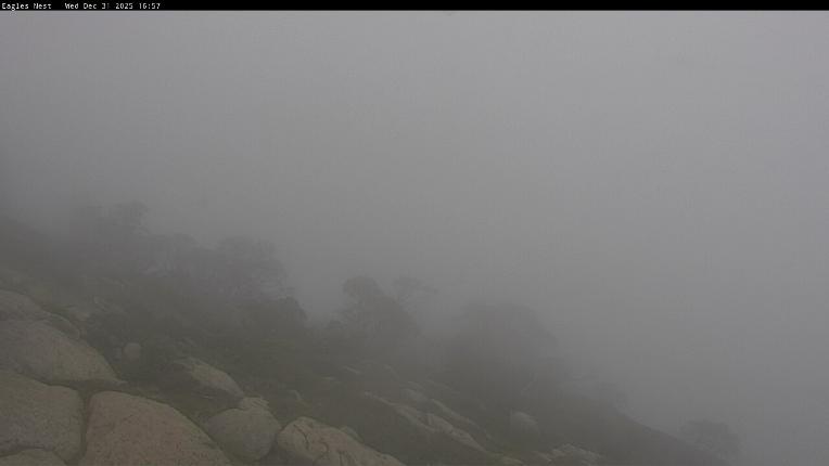 Webcam Thredbo: Central Spur