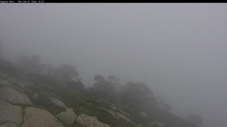 Webcam Thredbo: Central Spur