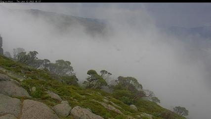 Thredbo: Central Spur (thredbo.com.au)