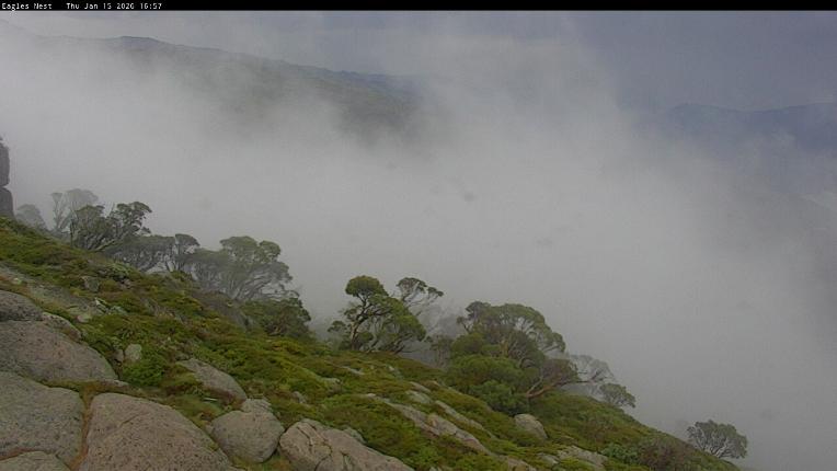 Webcam Thredbo: Central Spur