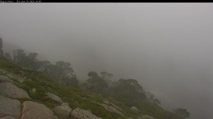 Thredbo: Central Spur (thredbo.com.au)