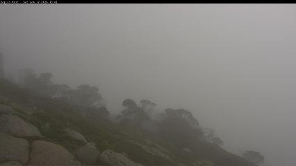 Thredbo: Central Spur (thredbo.com.au)