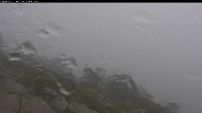 Webcam Thredbo: Central Spur