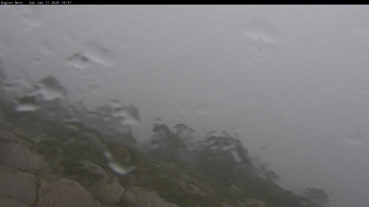 Webcam Thredbo: Central Spur
