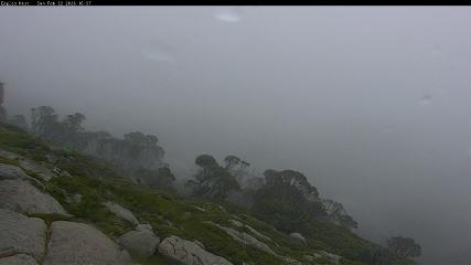 Thredbo: Central Spur (thredbo.com.au)