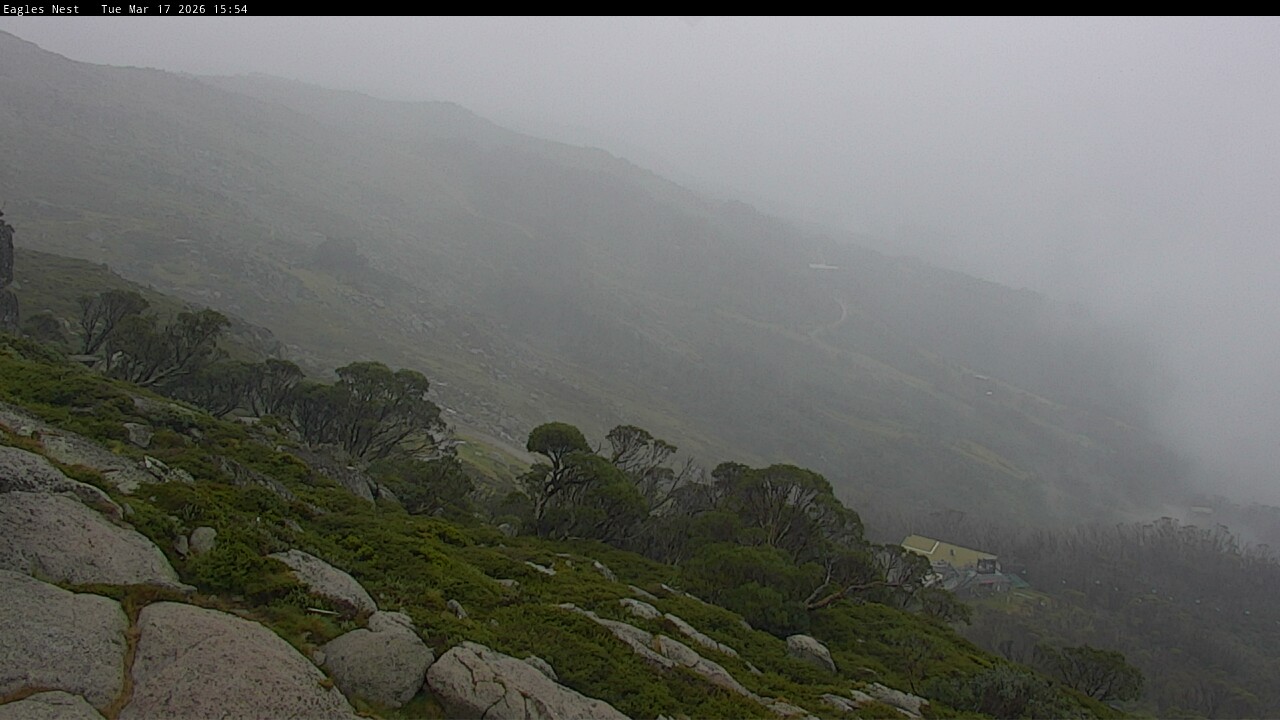 Webcam Thredbo: Central Spur